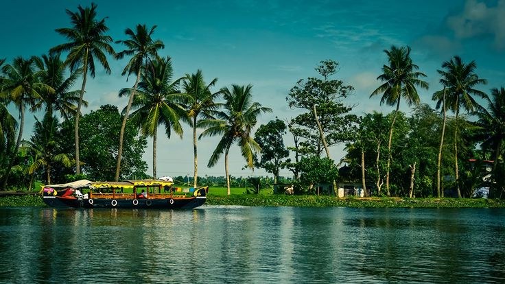 Kerala backwater houseboat surrounded by palms